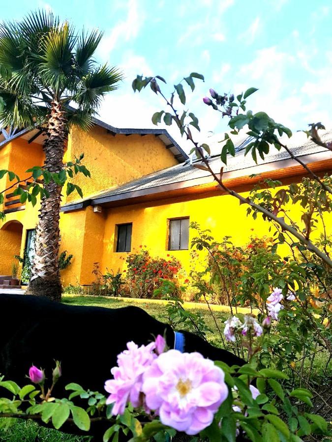 Casa Felice Guest House Ла Серена Екстериор снимка