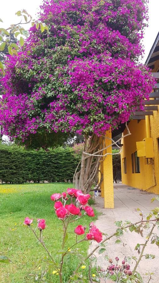 Casa Felice Guest House Ла Серена Екстериор снимка