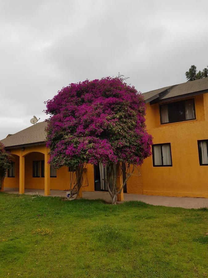Casa Felice Guest House Ла Серена Екстериор снимка