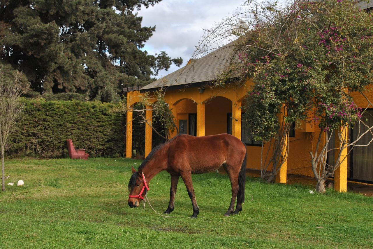 Casa Felice Guest House Ла Серена Екстериор снимка
