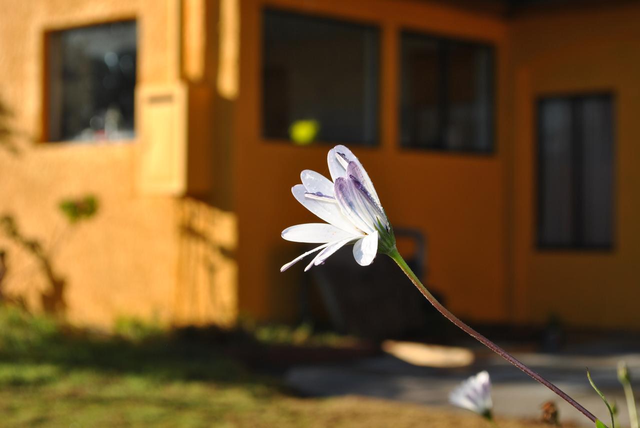 Casa Felice Guest House Ла Серена Екстериор снимка