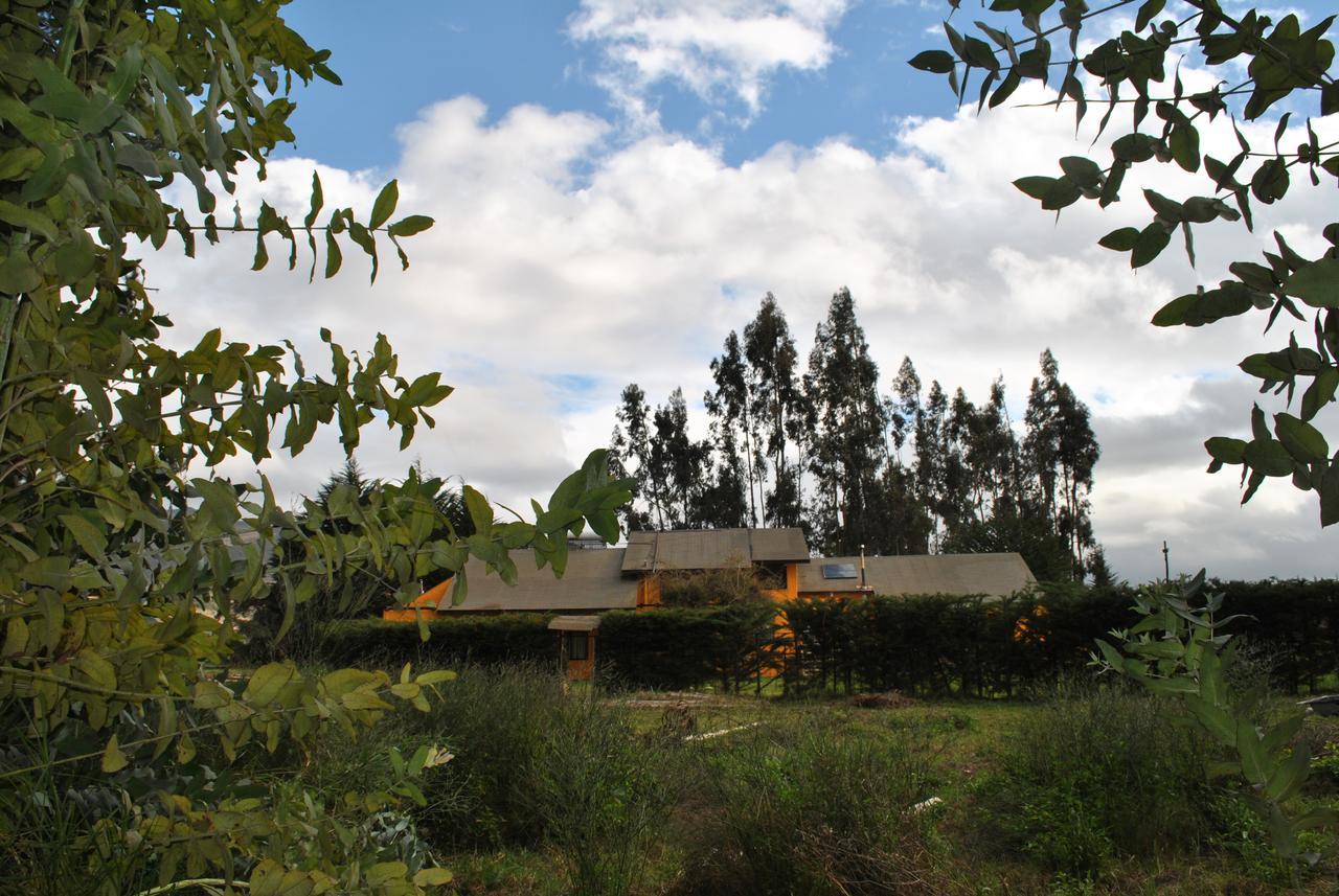 Casa Felice Guest House Ла Серена Екстериор снимка