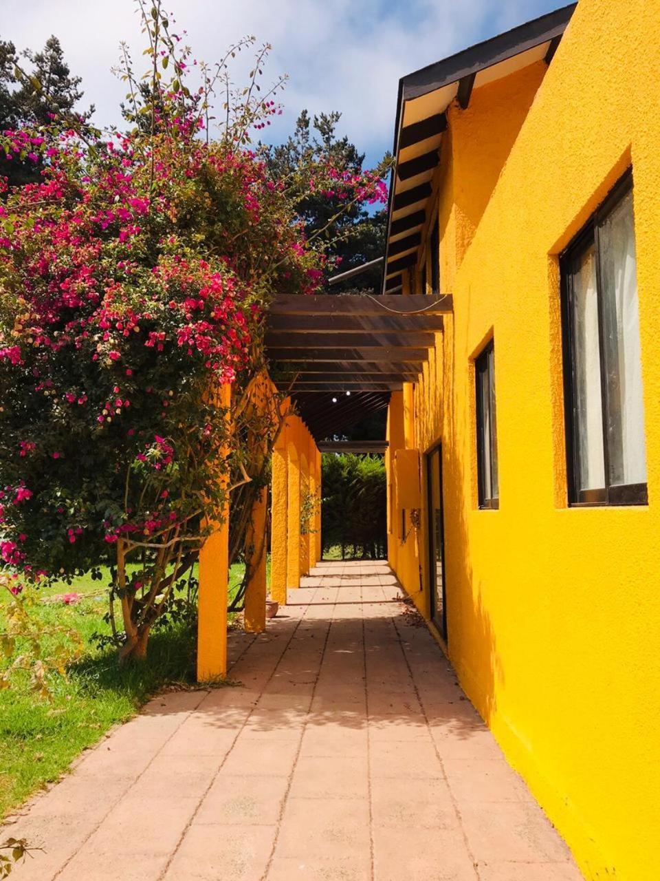 Casa Felice Guest House Ла Серена Екстериор снимка